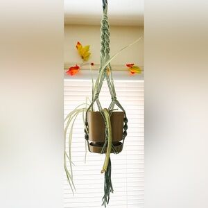 Sage Green Plant Hanger🌿